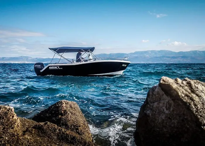 Peters Daire Sutivan